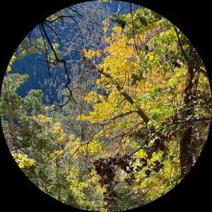 Meet your Posher, Adrienne